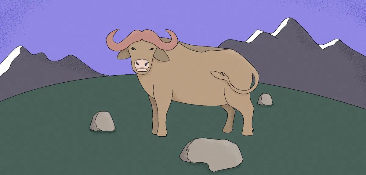 Dreaming About A Bull - Meaning And Interpretation