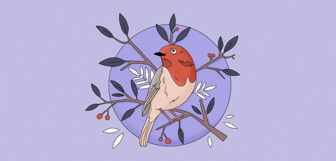 Robin Spiritual Meaning in Dreams