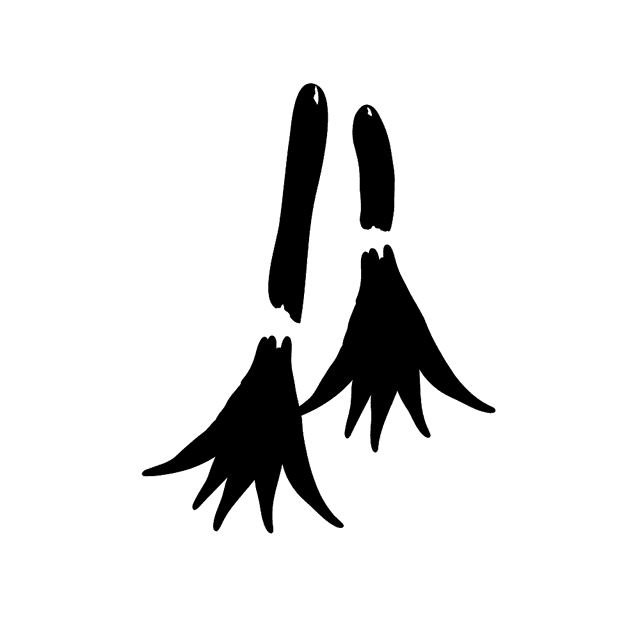 Understand The Meaning of Symbol Brooms in Dream DreamApp