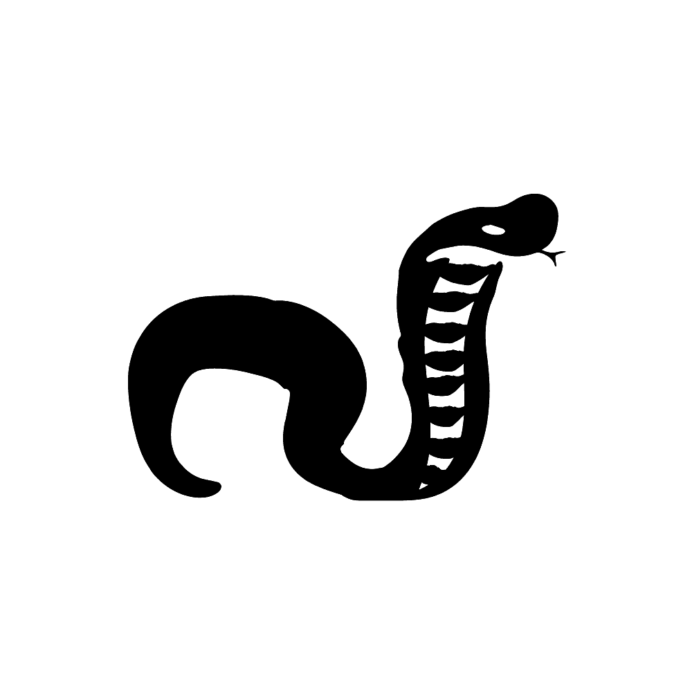 Cobra snake