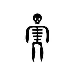 Skeleton