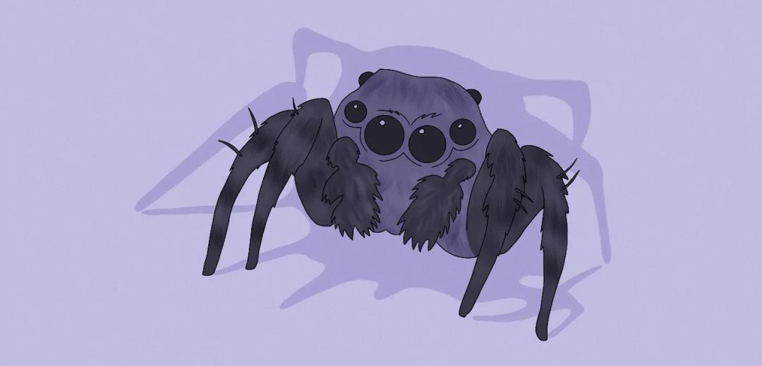 blogs.spiritual-meaning-of-spiders-in-dreams.title