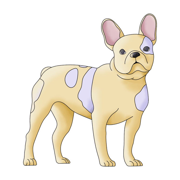 Dream About Dog Meaning Evoke Feelings Example Of Dreams With Dog dream-about-dog-meaning-evoke-feelings-example-of-dreams-with-dog